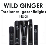AWAPUHI WILD GINGER