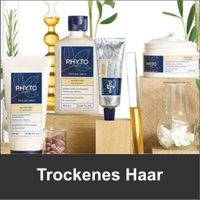 TROCKENES HAAR