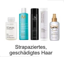 Strapaziertes Haar