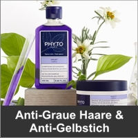 GRAUE HAARE / ANTI-GELBSTICH